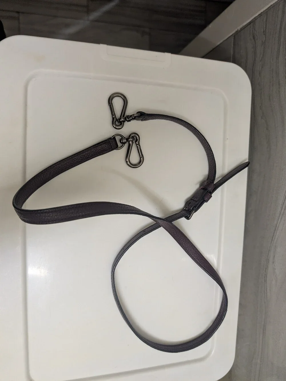 Coach brand color